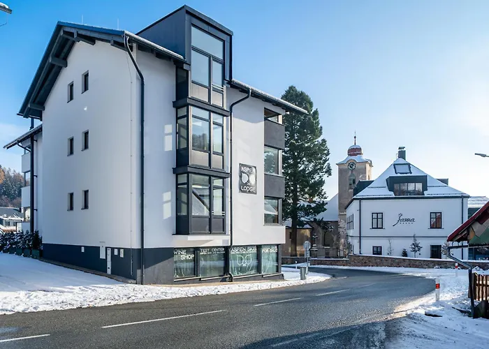 Apartment Aspen & Sauna Cerny Dul